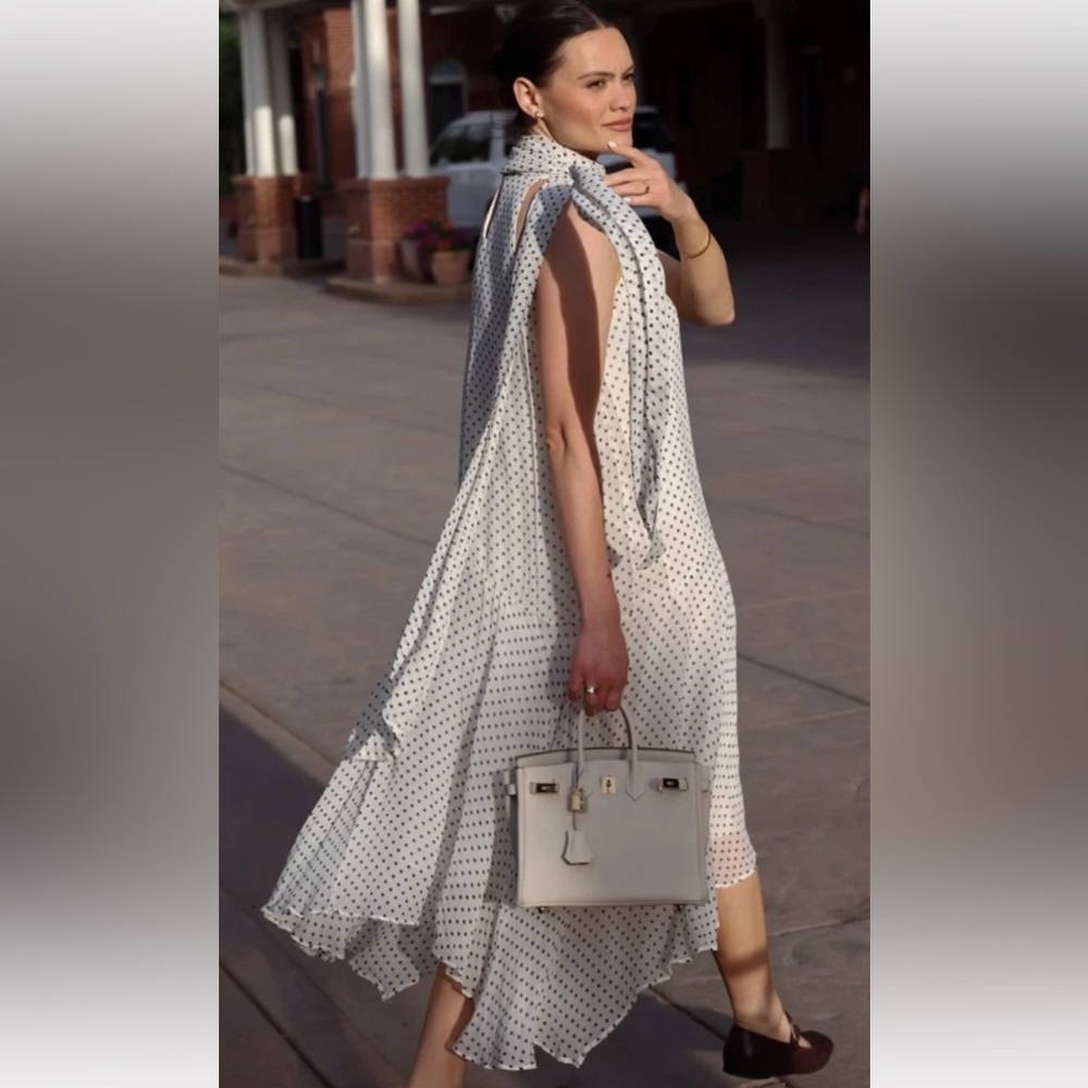 Zara polka dot midi dress
